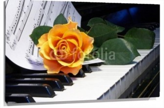 Lienzo Rosa sobre piano